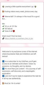 OnlyFans Bio Ideas (2026) – Best Examples & Writing Tips