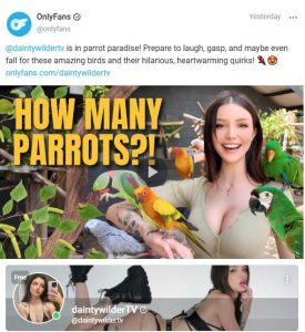 12 Unique OnlyFans Content Ideas to Stand Out in 2025