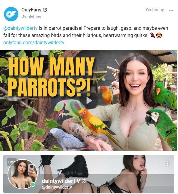 OnlyFans Content Ideas