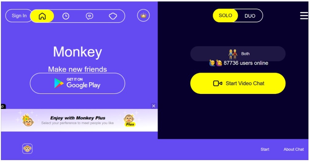 Monkey